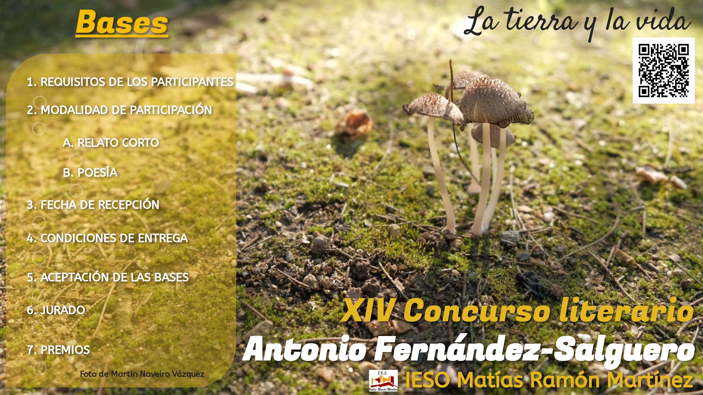 XIV Consurso literario 2020